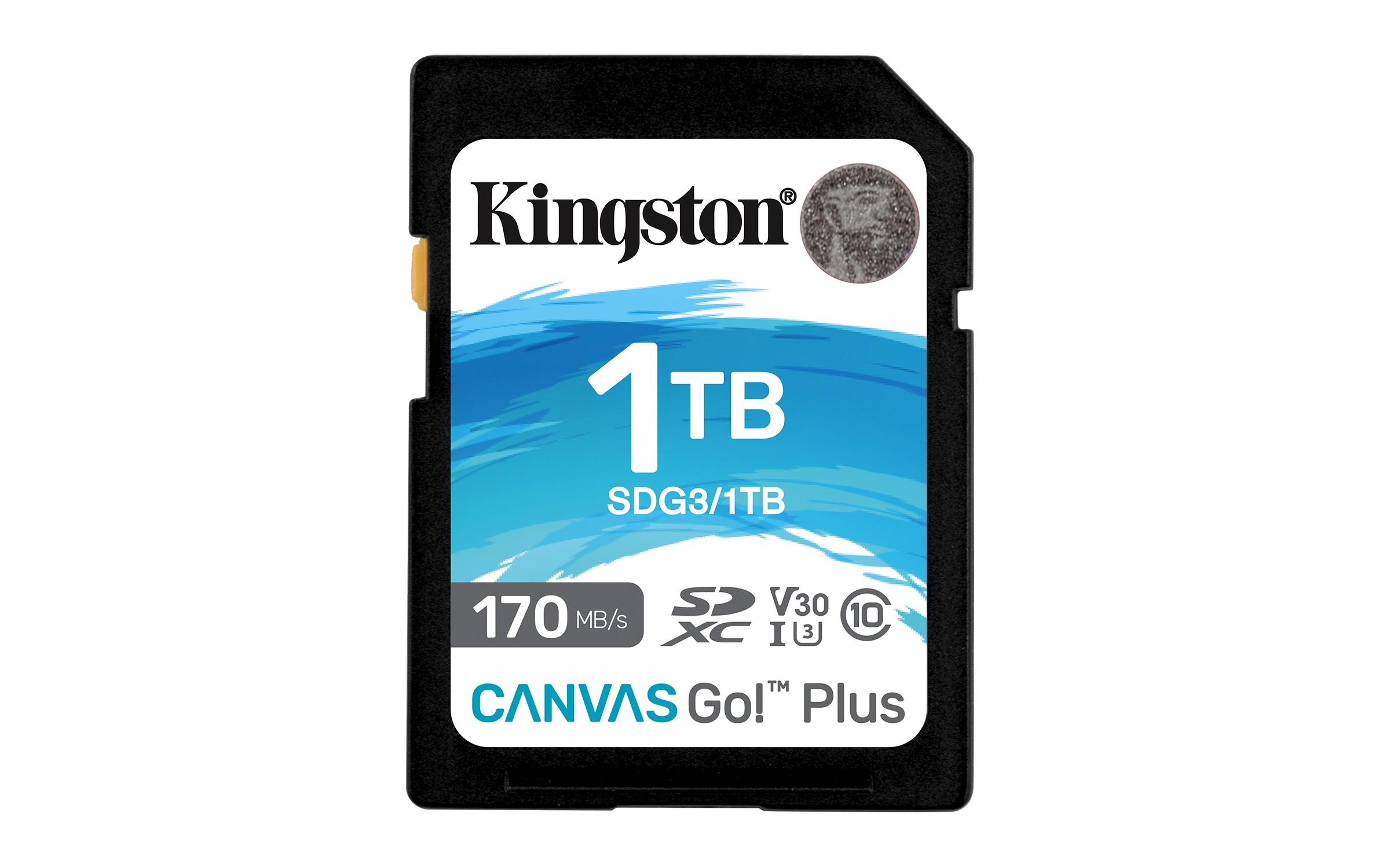 Kingston Technology Canvas Go! Plus 1 TB SD UHS-I C10 SDXC 170R U3 V30 | Tarjetas SD